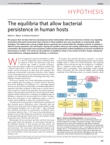 The equilibria that allow bacterial persistence in human hosts