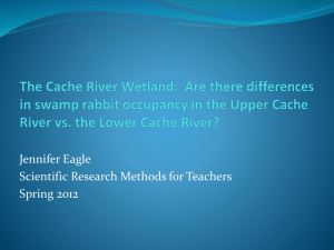 The Cache River Wetland: Are there differences in swamp rabbit