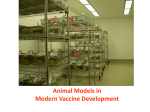 Animal models in vaccine development (1)