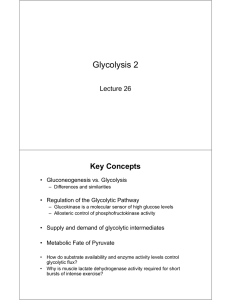 Glycolysis 2