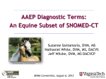 AAEP Diagnostic Terms