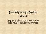 Investigating Marine Debris