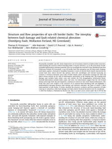 Structure and flow properties of syn-rift border faults: The interplay