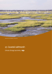 27. Coastal saltmarsh - Natural England publications