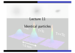 Lecture 11 Identical particles