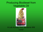 Producing Biodiesel from Waste Vegetable Oil