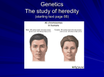 Genetics026d