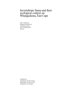Invertebrate fauna and their ecological context on Whangaokena