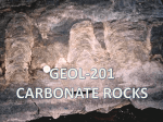 Carbonate rocks