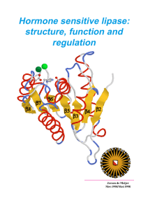 Hormone sensitive lipase: structure, function and