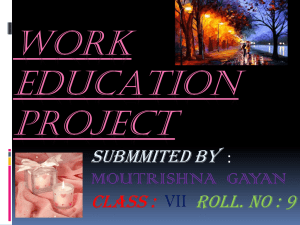 WORK EDUCATION PROJECT