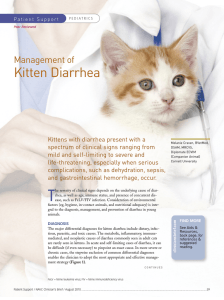 Kitten Diarrhea - Clinician`s Brief