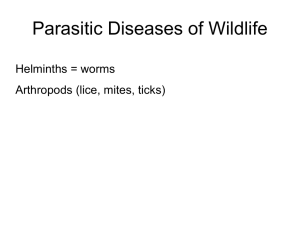 Protozoal Diseases of Wildlife