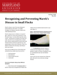 Recognizing and Preventing Marek`s Disease in Small Flocks