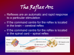 The Reflex Arc - Science with Glee