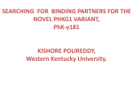 Searching for Binding Partners for the Novel PHKG1 Variant, PhKγ