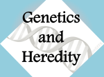 Genetics and Heredity 1