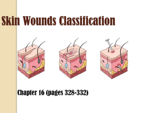 Skin Wounds Classification