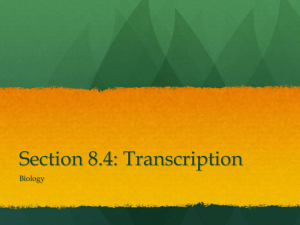 Section 8.4: Transcription