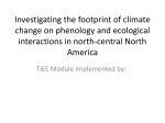 Investigating the footprint of climate change on phenology and