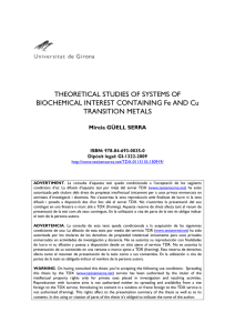 Theoretical studies of systems of biochemical interest containing Fe