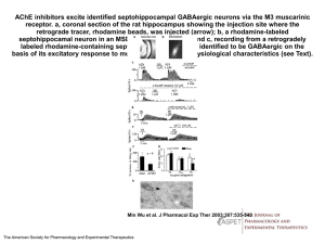 powerpoint - Journal of Pharmacology and Experimental