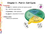 Cells: The Living Units Part 2