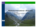 Wetlands International - Response