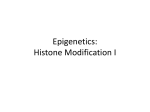Epigenetics: Histone Modification I