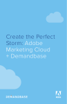 Create the Perfect Storm: Adobe Marketing Cloud + Demandbase