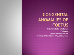 Congenital Anomalies of Foetus