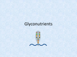 Nutrition12_Glyconutrients