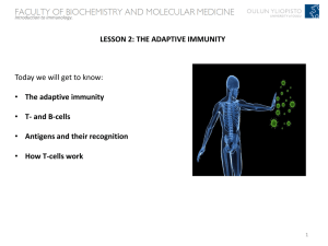 LESSON 2: THE ADAPTIVE IMMUNITY Today we will get to know