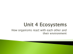 Unit 4 Ecosystems