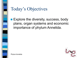 Today`s Objectives