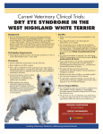 Current Veterinary Clinical Trials: DRY EYE SYNDROME IN THE