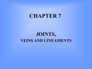Chapter 6 and 7 Joints