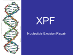 XPF