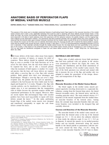 Anatomic basis of perforator flaps of medial vastus muscle