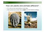 How are plants and animals different?