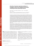 Diversity of reporter expression patterns in transgenic mouse lines