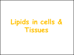 Biological Significance of Lipids