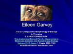 Eileen Garvey