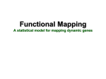 Functional Mapping - Center for Statistical Genetics