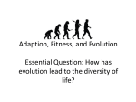 What is Evolution? How has evolution lead to the diversity of life?