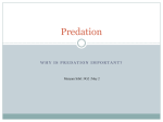Predation - escience