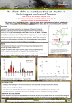 The effects of fire on invertebrate food web structure