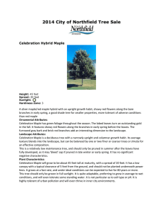 2014 City of Northfield Tree Sale