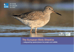 The European Birds Directive