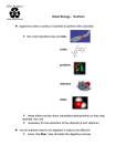 Rebel Biology - Nutrition organisms need a variety of nutrients to